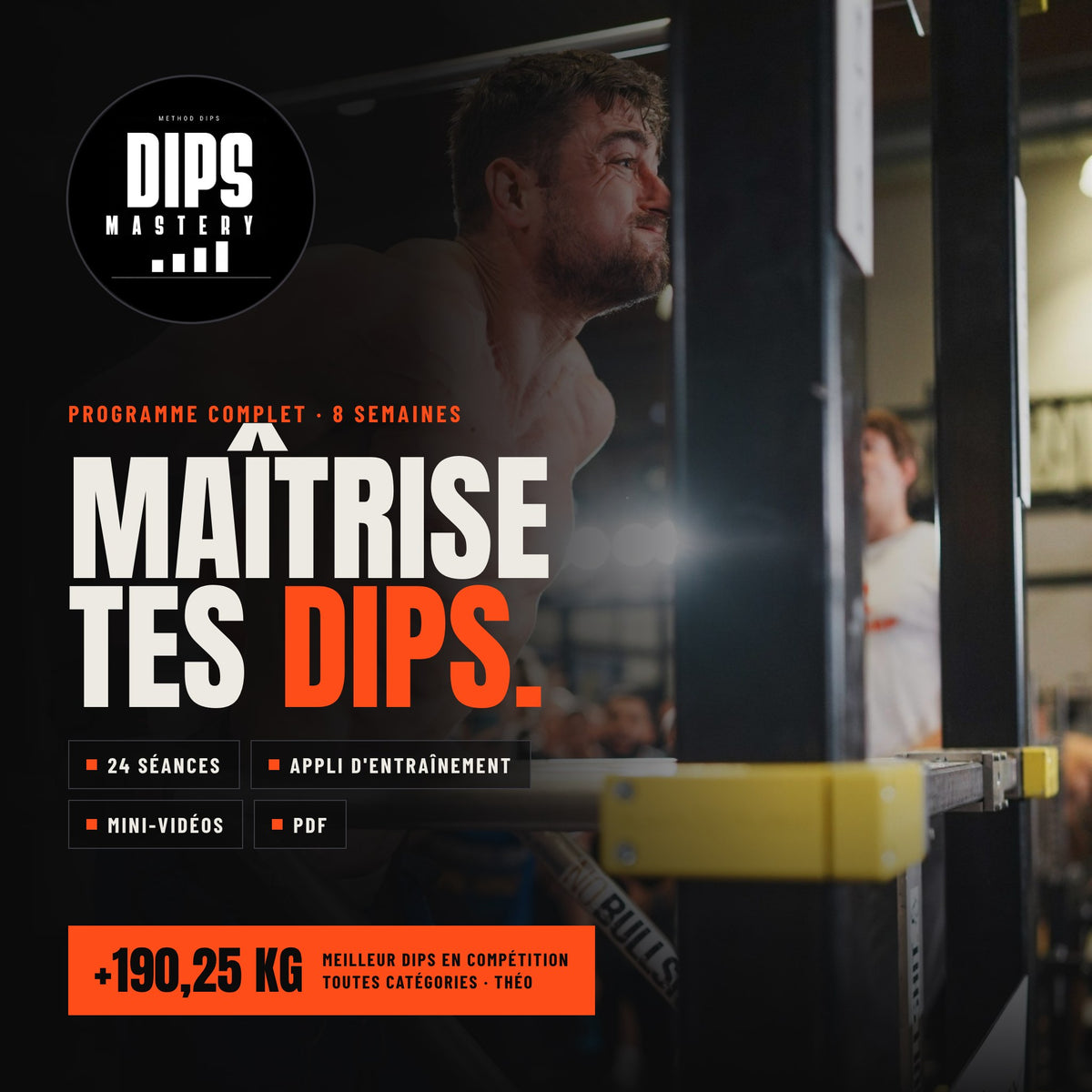 Dips Mastery · Programme 8 semaines
