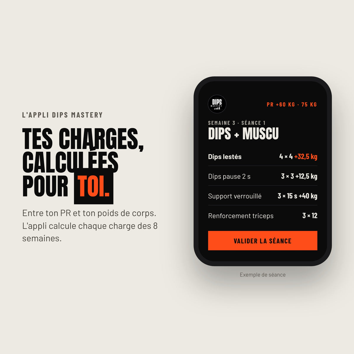 Dips Mastery · Programme 8 semaines