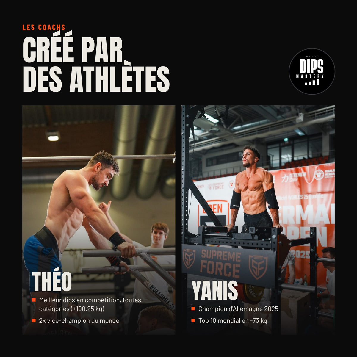 Dips Mastery · Programme 8 semaines